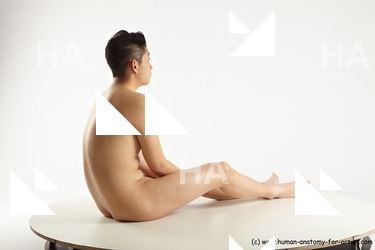 sitting reference wade 06