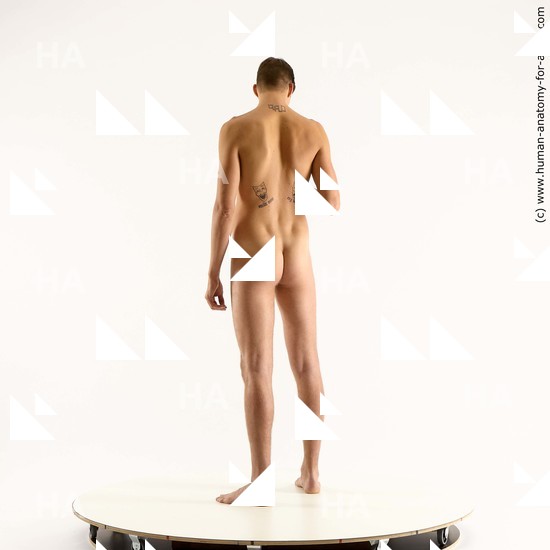 Nude Man White Standing poses - ALL Slim Short Brown Standing poses - simple Standard Photoshoot Realistic