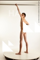 standing reference willard 04