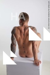 Nude Man White Sitting poses - simple Muscular Short Brown Sitting poses - ALL Standard Photoshoot Realistic