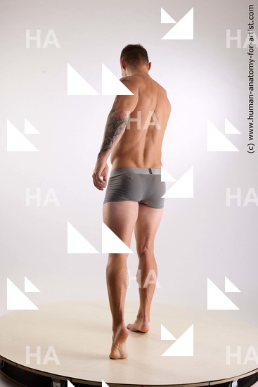 Underwear Man White Standing poses - ALL Muscular Short Brown Standing poses - simple Standard Photoshoot Academic