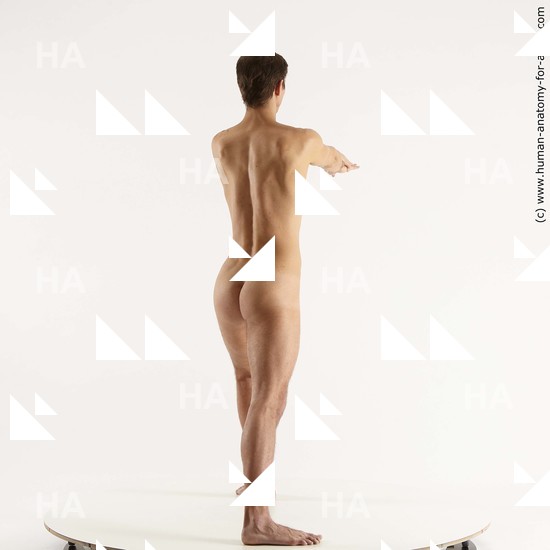 Nude Man White Standing poses - ALL Slim Short Brown Standing poses - simple Standard Photoshoot Realistic