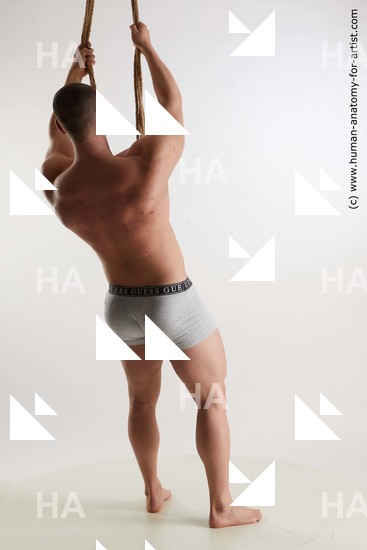 Underwear Man White Standing poses - ALL Muscular Short Brown Standing poses - simple Standard Photoshoot Academic