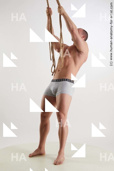 Underwear Man White Standing poses - ALL Muscular Short Brown Standing poses - simple Standard Photoshoot Academic
