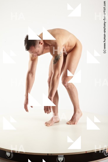 Nude Man White Standing poses - ALL Muscular Short Brown Standing poses - bend over Standard Photoshoot Realistic