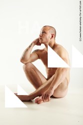 sitting reference rex 02