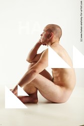 sitting reference rex 03