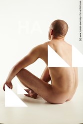 sitting reference rex 04