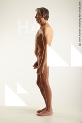 standing reference wendell 03