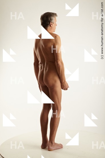 Nude Man Standing poses - ALL Standing poses - simple Standard Photoshoot Realistic