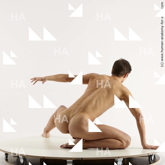 Nude Man White Kneeling poses - ALL Athletic Short Brown Kneeling poses - on one knee Standard Photoshoot Realistic
