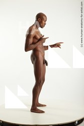 Nude Man Black Standing poses - ALL Muscular Bald Standing poses - simple Standard Photoshoot Realistic