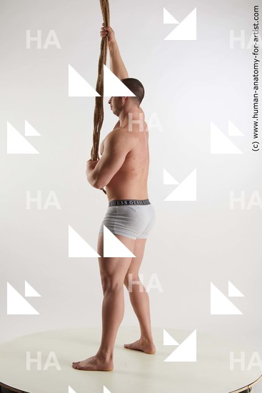 Underwear Man White Standing poses - ALL Muscular Short Brown Standing poses - simple Standard Photoshoot Academic