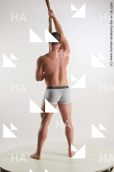 Underwear Man White Standing poses - ALL Muscular Short Brown Standing poses - simple Standard Photoshoot Academic