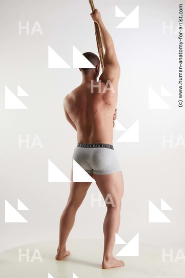 Underwear Man White Standing poses - ALL Muscular Short Brown Standing poses - simple Standard Photoshoot Academic