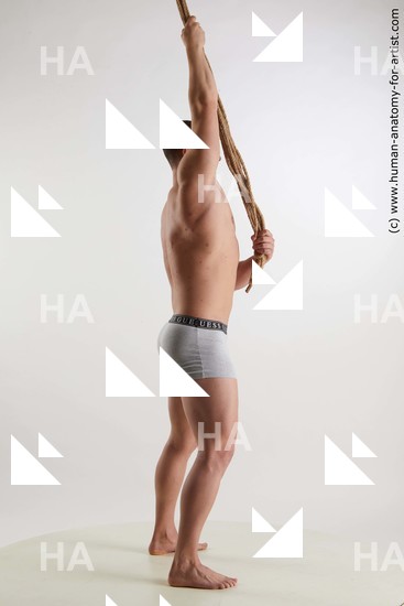 Underwear Man White Standing poses - ALL Muscular Short Brown Standing poses - simple Standard Photoshoot Academic