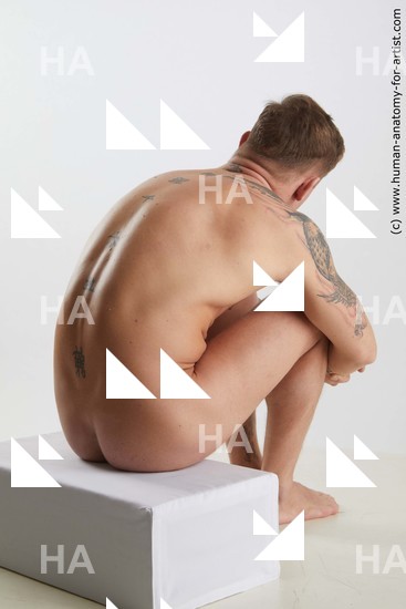 Nude Man White Sitting poses - simple Muscular Short Brown Sitting poses - ALL Standard Photoshoot Realistic