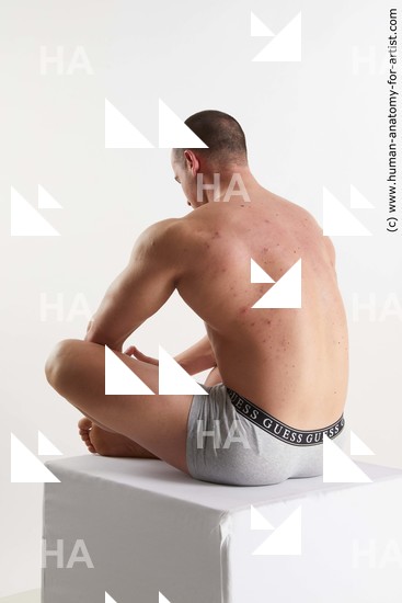 Underwear Man White Sitting poses - simple Muscular Short Brown Sitting poses - ALL Standard Photoshoot Academic
