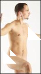 Prokop Various Poses