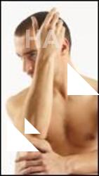 Prokop Various poses