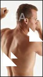 Standing reference of Bronislav