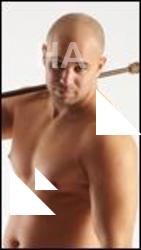 Standing reference of Ervin