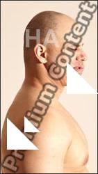 Emotion reference of Ervin