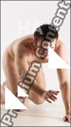 Stereoscopic 3D reference of Vendelin