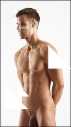 Standing reference poses of Rufus