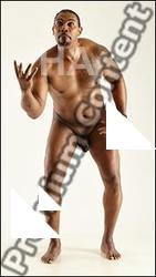 Stereoscopic 3D reference of Denny