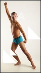 Elmer - Traditional Korean Art