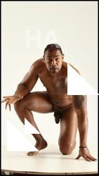 Stereoscopic 3D reference of Denny