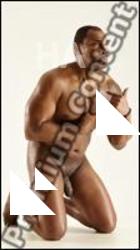 Stereoscopic 3D reference of Denny