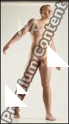 Standing reference poses of Rex