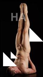 Laying reference poses of Oris