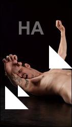 Laying reference poses of Falco White