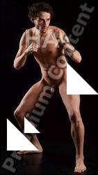 Standing reference poses of Timbo