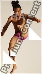 Traditional korean art of Elmer