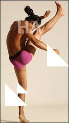 Traditional korean art of Elmer