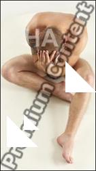 Sitting reference poses of Rex