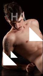 Laying reference poses of Falco White