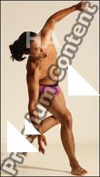 Traditional korean art of Elmer