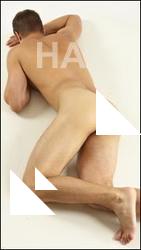 Laying reference poses of Willbert