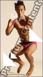 Traditional korean art of Elmer