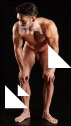 Standing reference poses Larry Steel