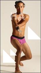 Traditional korean art Elmer