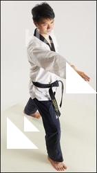 Fighting reference poses Lan