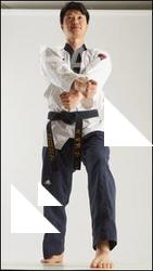 Fighting reference poses Lan