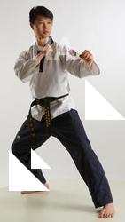 Fighting reference poses Lan