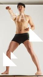 Fighting reference poses Lan